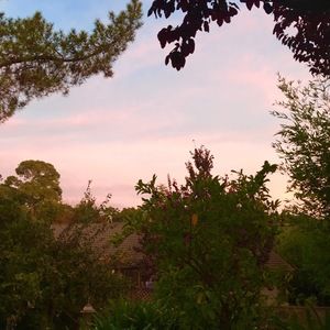 Meet your Posher, Slimey jellybeans